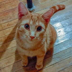 Meet your Posher, Bethany